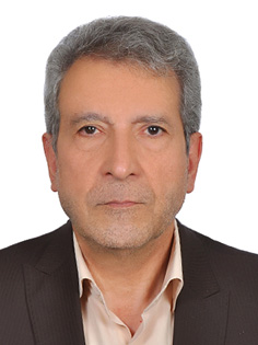 محمد حسن تقی زاده