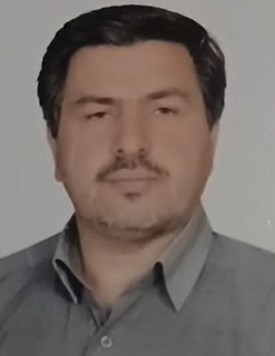 حمید رضا  مسایلی پور