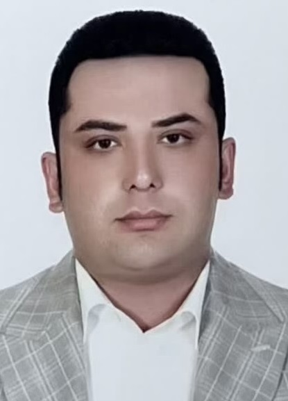 سید مهدی  رضوی 